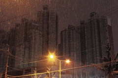 小雪舞う高層