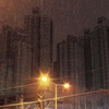 小雪舞う高層