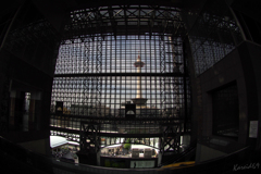 urban fish eye
