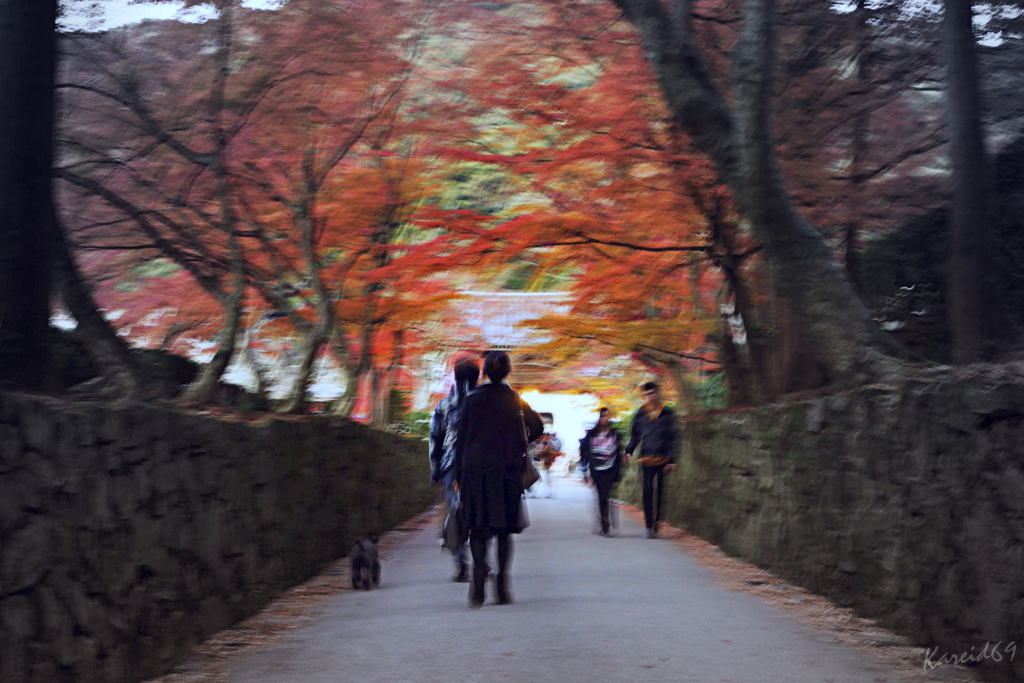 紅に浮かぶ坂