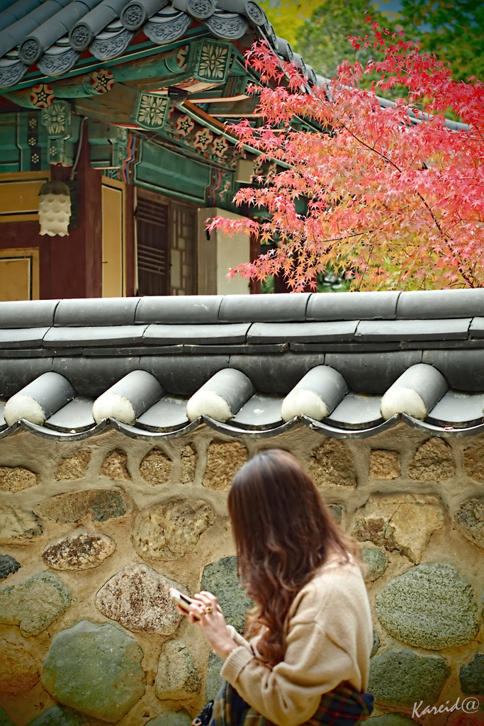 晩秋の仏国寺