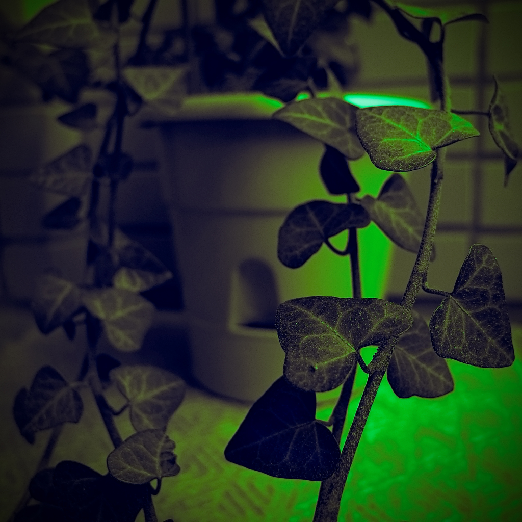 Sap Greenに染めて