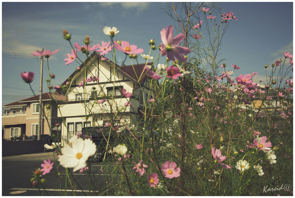 untitled