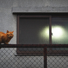 看看这些猫！