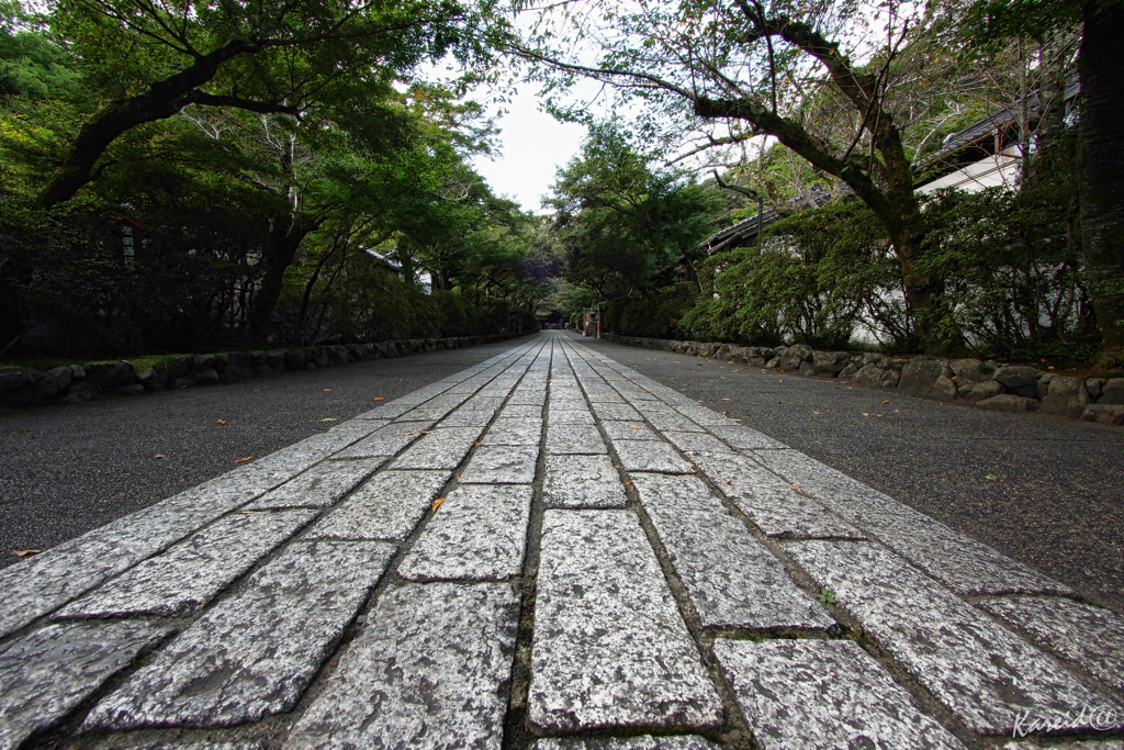 にっぽんの参道