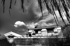 京の酒蔵