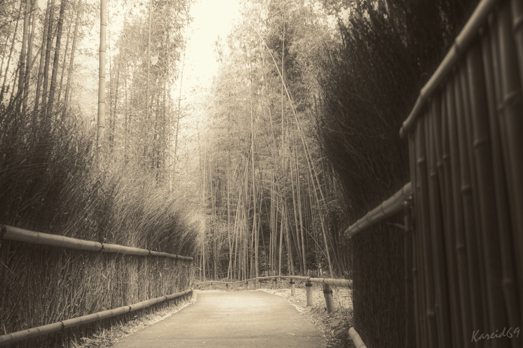 嵯峨野