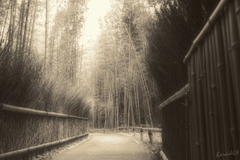 嵯峨野