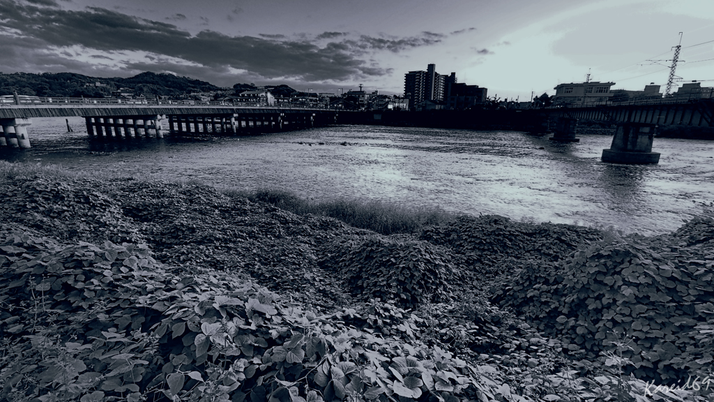 Uji City Bullets