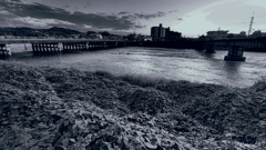 Uji City Bullets