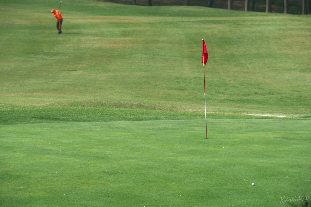 みんなのGOLF