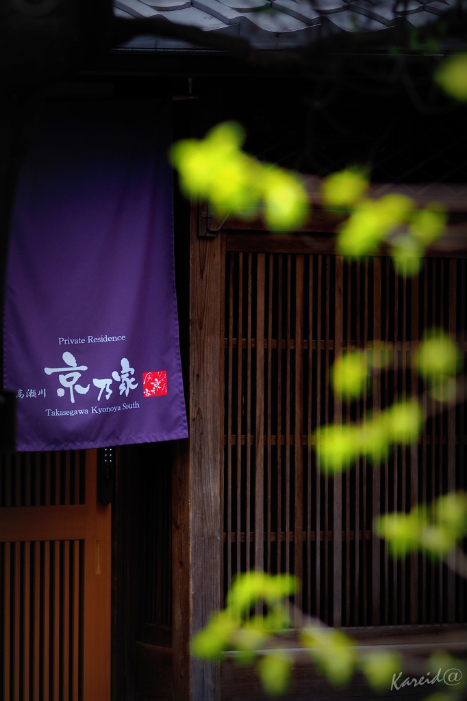 高瀬川沿い