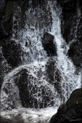 静止する水沫