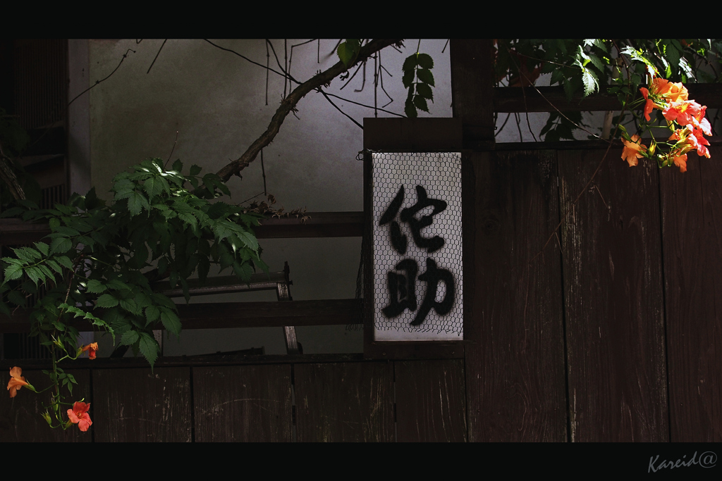 侘助