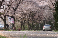 シャンテヒルへの道