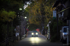 大銀杏のある風景