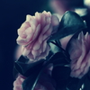 Longing
