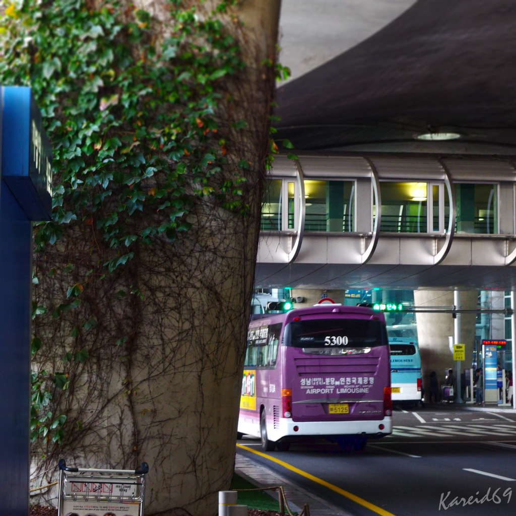 C-９ Bus Stop