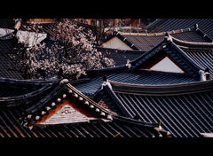 伝統家屋