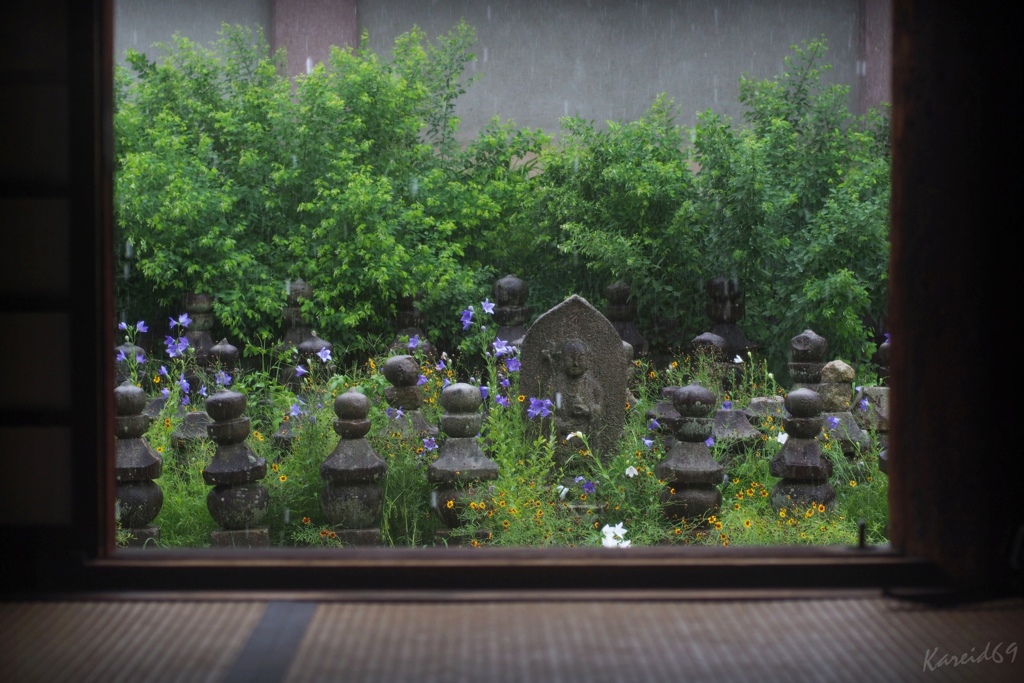 通り雨