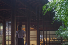 雨音に・・・