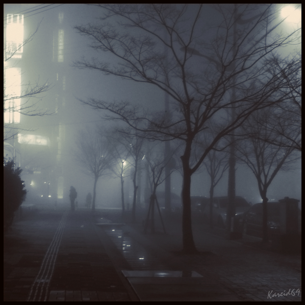 霧の棲む街