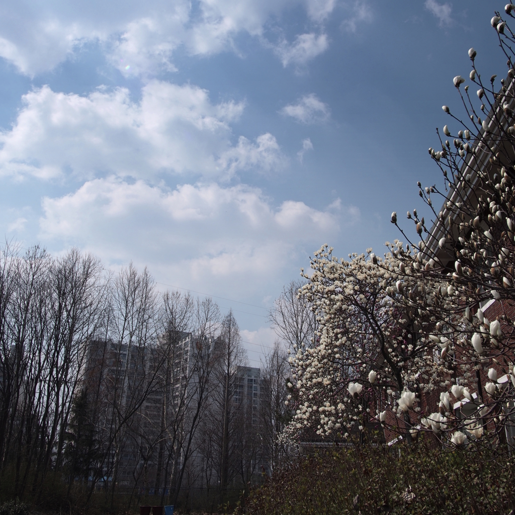 空を見上げて