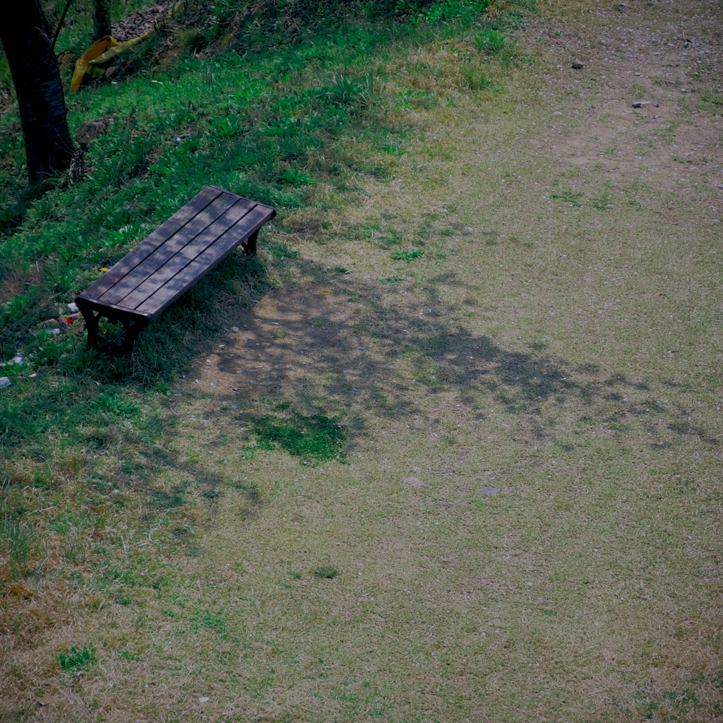 桜下のベンチ