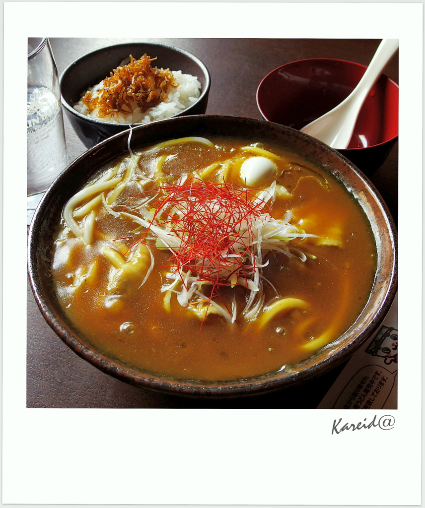 豊橋風カレーうどん