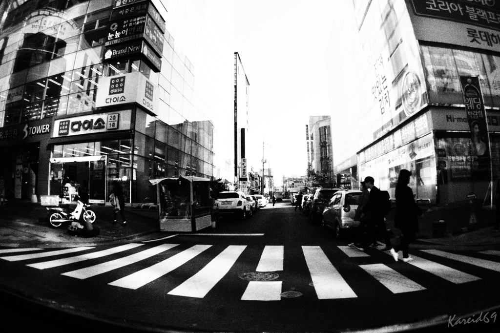 ゼブラの伝承