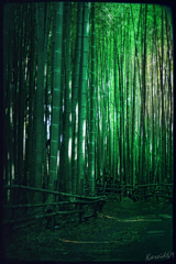GREEN ECHO