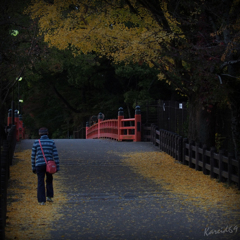 Vue jaune