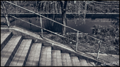 伏見　柳と濠川