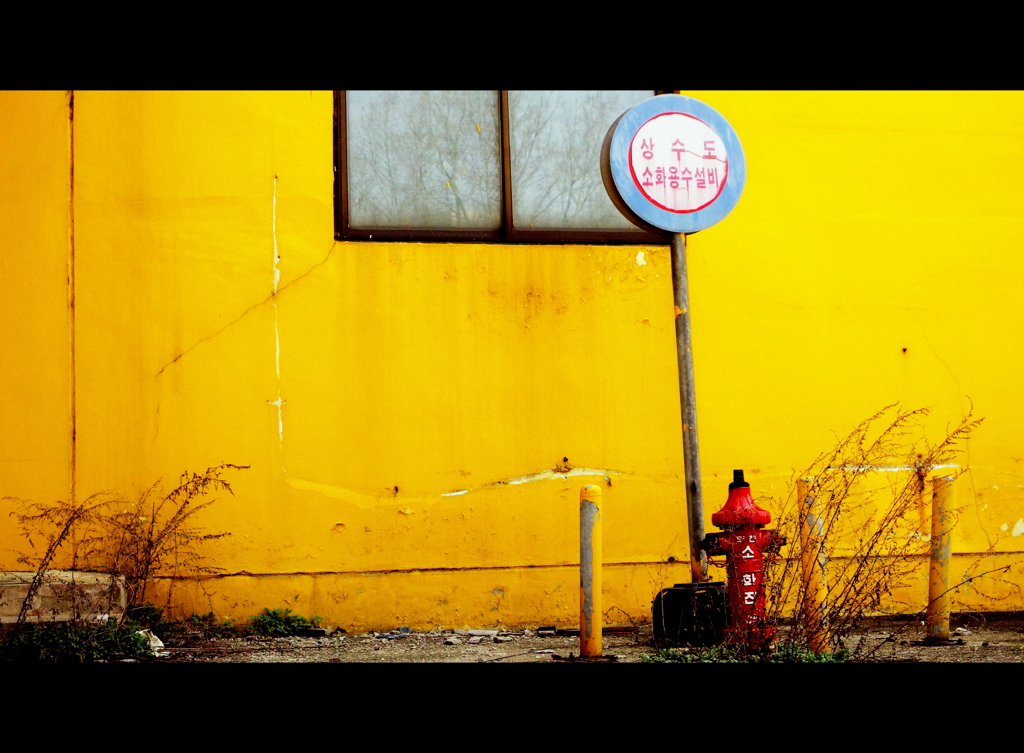 yellow magic