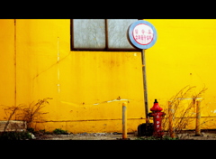 yellow magic