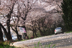 Pinkの輪舞