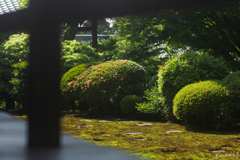 お庭を