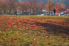 使い切れない一人の時