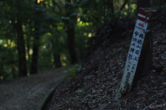 道標