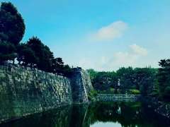 二条城で撮影した写真です・