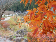 DSCN0497