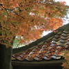 白岩寺の秋_3