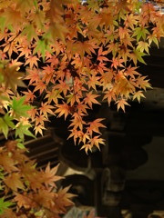 白岩寺の秋_2
