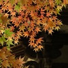 白岩寺の秋_2