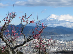 日本平より