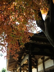 白岩寺の秋_5