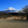 2015年初撮り　朝霧高原にて