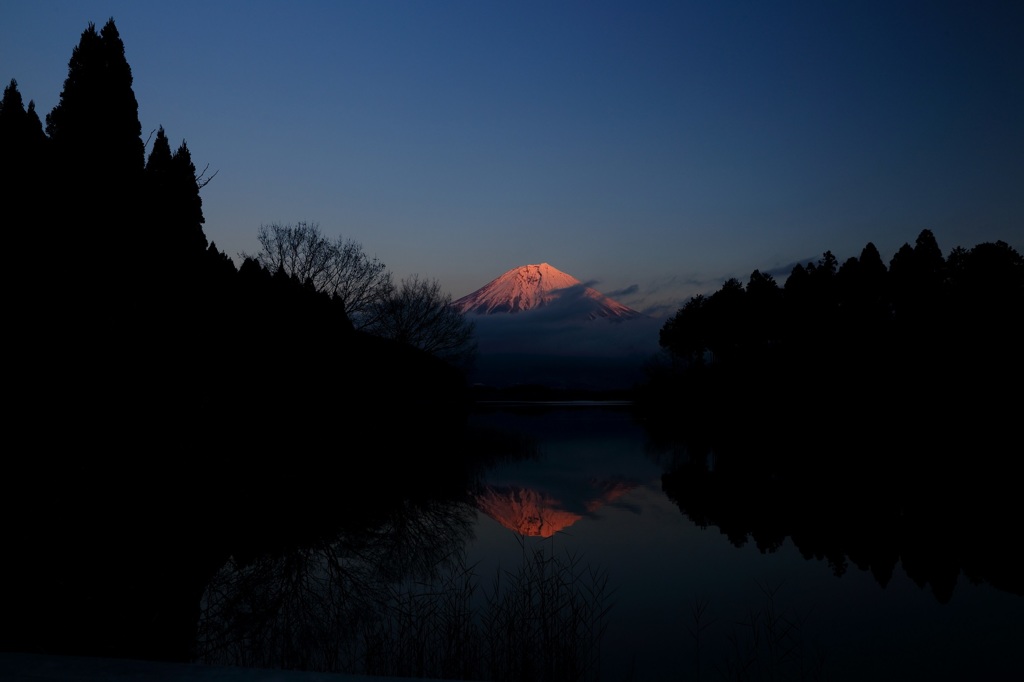 2015年初撮り　田貫湖にて ver.2015.01.