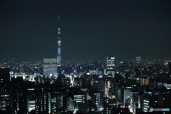 東京の夜景。