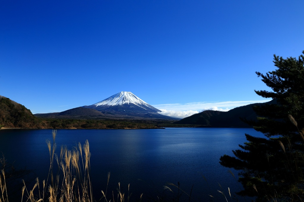 2015年初撮り　本栖湖にて